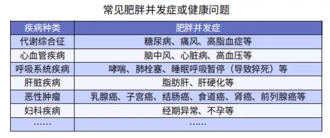 太胖被拒保怎么辦？