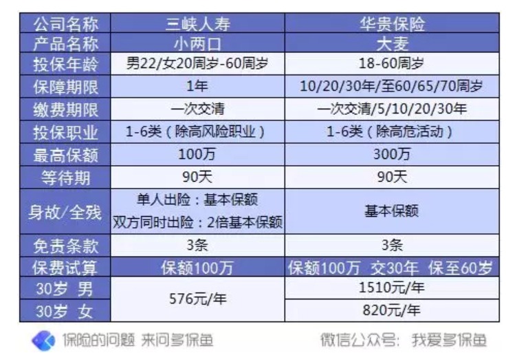 三峽小兩口一年期壽險測評