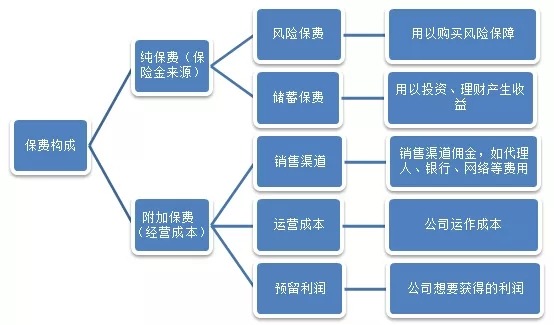 我們交的保費去哪兒了