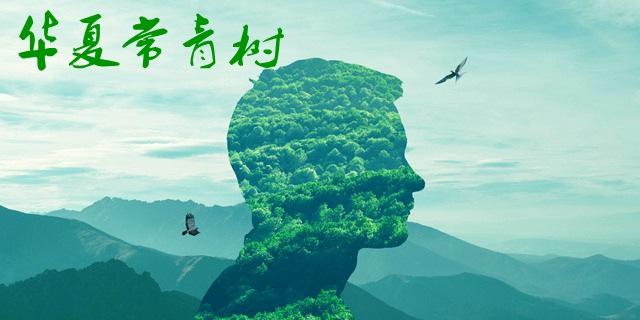 華夏長(zhǎng)青樹怎么樣 優(yōu)劣勢(shì)有哪些？